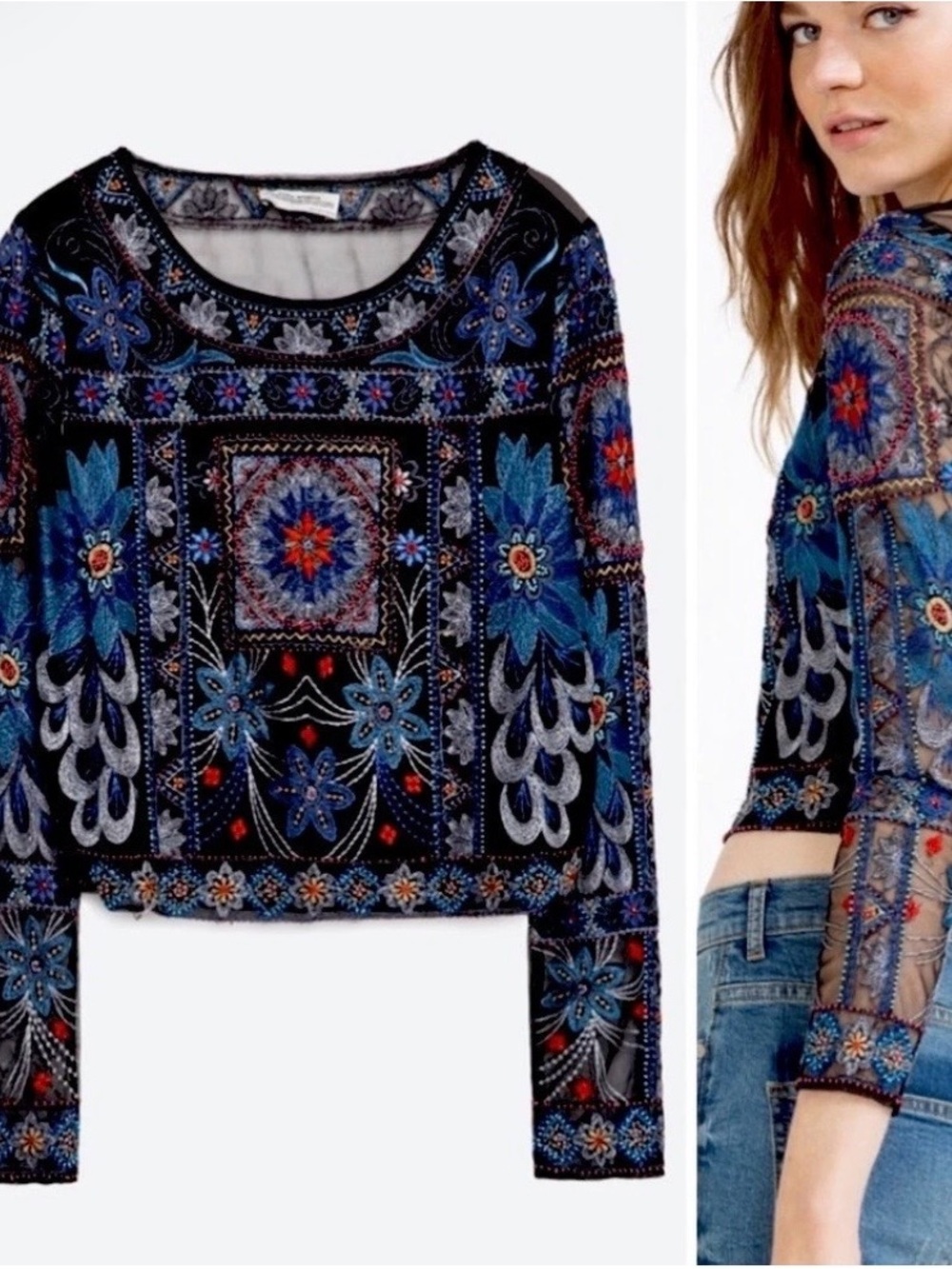 Zara ZW Mesh Floral Embroidered and Beaded Sheer Long-Sleeve Top